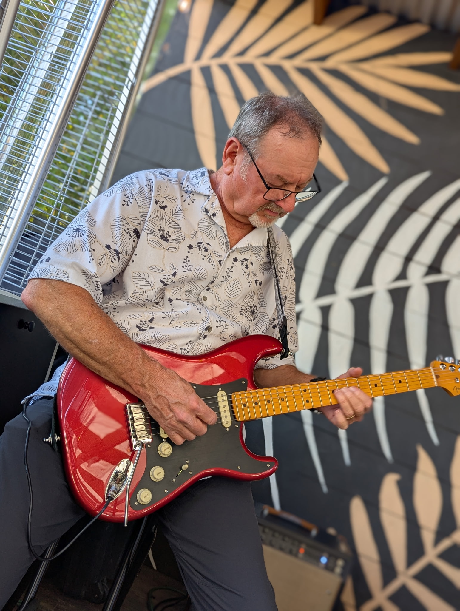 Steve performing at Sonoma Pizza Co