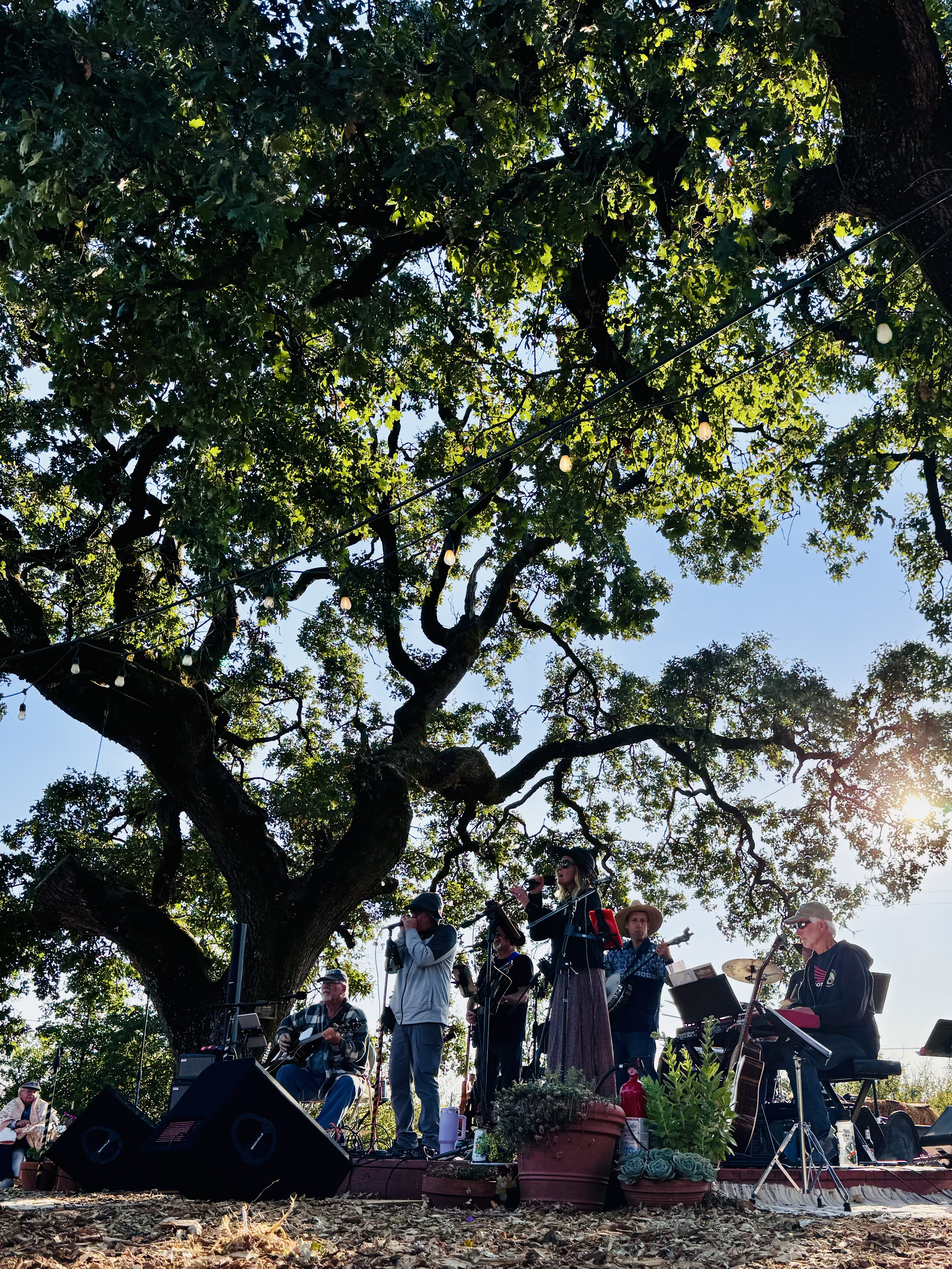 On the Side under the oaks